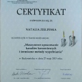 Powiększ obraz: certificate 23