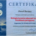 Powiększ obraz: certificate 4