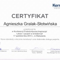 Powiększ obraz: certificate 42