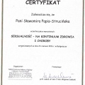 Powiększ obraz: certificate 9
