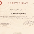 Powiększ obraz: certificate 1