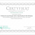 Powiększ obraz: certificate 27