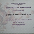 Powiększ obraz: certificate 7