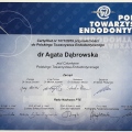 Powiększ obraz: certificate 8