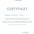 Powiększ obraz: certificate 10
