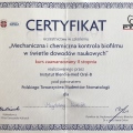 Powiększ obraz: certificate 1