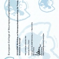 Powiększ obraz: certificate 4