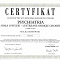 Powiększ obraz: certificate 7