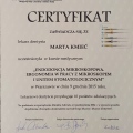 Powiększ obraz: certificate 5