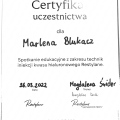 Powiększ obraz: certificate 18