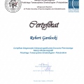 Powiększ obraz: certificate 1