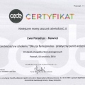 Powiększ obraz: certificate 20