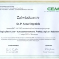 Powiększ obraz: certificate 1