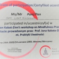 Powiększ obraz: certificate 4