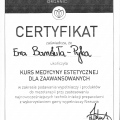 Powiększ obraz: certificate 6