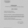 Powiększ obraz: certificate 3