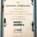 Powiększ obraz: certificate 8