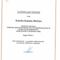 Powiększ obraz: certificate 6