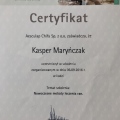 Powiększ obraz: certificate 3