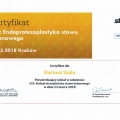 Powiększ obraz: certificate 11