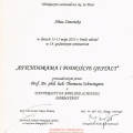 Powiększ obraz: certificate 6
