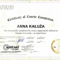Powiększ obraz: certificate 12