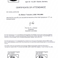 Powiększ obraz: certificate 7