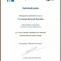 Powiększ obraz: certificate 17