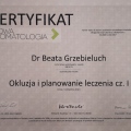 Powiększ obraz: certificate 31