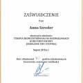 Powiększ obraz: certificate 10