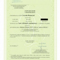 Powiększ obraz: certificate 8