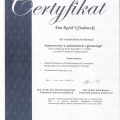 Powiększ obraz: certificate 9