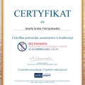 Powiększ obraz: certificate 1