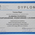 Powiększ obraz: certificate 28