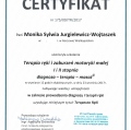 Powiększ obraz: certificate 11