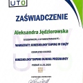 Powiększ obraz: certificate 8