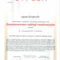 Powiększ obraz: certificate 45