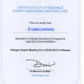 Powiększ obraz: certificate 2