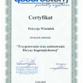 Powiększ obraz: certificate 6