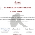 Powiększ obraz: certificate 8