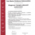 Powiększ obraz: certificate 27