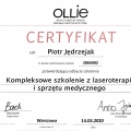 Powiększ obraz: certificate 12