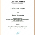 Powiększ obraz: certificate 4