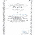 Powiększ obraz: certificate 19