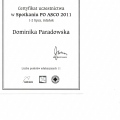 Powiększ obraz: certificate 13