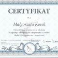Powiększ obraz: certificate 4