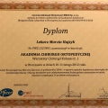 Powiększ obraz: certificate 13