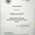 Powiększ obraz: certificate 8