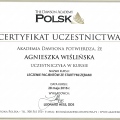 Powiększ obraz: certificate 4