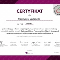 Powiększ obraz: certificate 1